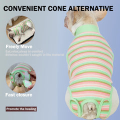 Sebidtco chienne repos portant la combinaison pour une guérison sereine sans collier gênant
