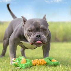 Sedioso détail papier froissé produisant son stimulant et divertissant le chien