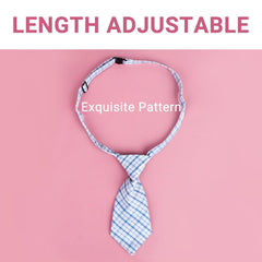 Segarty collier réglable illustrant la boucle facile et ajustable
