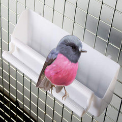 Seneme distributeur en usage avec oiseau buvant et mangeant