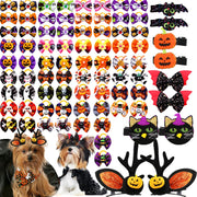 Senniea avant-packaging Halloween montrant le lot complet, idéal pour fêtes