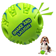 SHAKE AND LAUGH vue de face de la balle spiky montrant forme compacte et robustesse