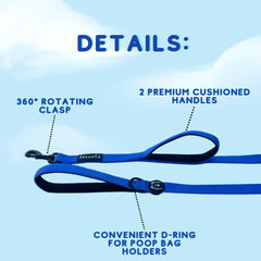 SHAWNCO clip heavy-duty et anneau D solides pour attache sécurisée