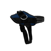 ShawnCo harnais avant Pacific Blue confort visible