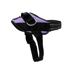 SHAWNCO harnais vue avant ICY Lilac offrant maintien confortable