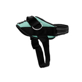 SHawnCo harnais Essential face avant montrant un ajustement sécurisé et confortable