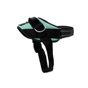 SHAWNCO harnais vue avant sur emballage, maintien sûr et design Seafoam