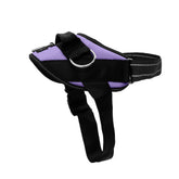 SHAWNCO harnais frontal ICY Lilac montrant ajustement sûr