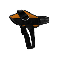 SHAWNCO harnais vue avant Sunset Orange pour sécurité et visibilité