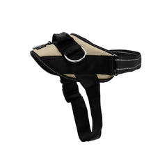 SHAWNCO harnais vue avant montrant maintien confortable