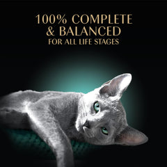 Sheba emballage 24 unités affichant lots pratiques pour foyer multiple