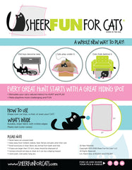 Sheer Fun For Cats chat jouant avec la balle sur le tapis pour stimulation active