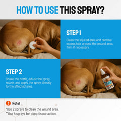 SILVER GRADE application sur épaule de chien pour apaiser irritation