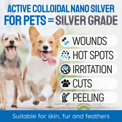 SILVER GRADE gros plan buse spray pour application sans contact