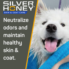 Silver Honey application sur chien après shampooing, bénéfice pelage démêlé