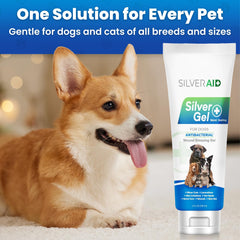 SilverAid gel texture en gros plan montrant consistance rafraîchissante