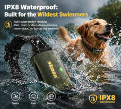 Skasii collier immergé illustrant étanchéité IPX8, usage sans souci sous pluie