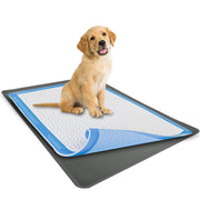 Skywin plateau vue avant montrant maintien propre et protection