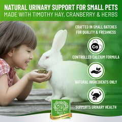 Small Pet Select gros plan sur la texture du biscuit riche en foin pour appétence
