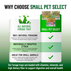 Small Pet Select gros plan pissenlit montrant racines nutritives et texture