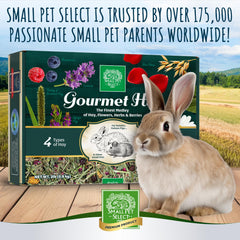 Small Pet Select foin gourmand dissimulé dans jouet, stimule le forage et le jeu