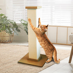 SmartCat chat utilisant le poteau illustrant exercice naturel et plaisir