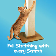 SmartCat sisal gros plan montrant tissage résistant pour griffades durables
