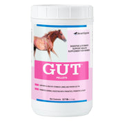 SMARTPAK SmartEquine Gut paquet avant montrant 60 portions pour simplicité d'utilisation