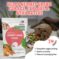 Snout and Shell gros plan flocons de pois apport protéique facilement digestible