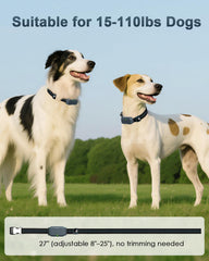 Snsng collier sur chien en extérieur facilitant le rappel à distance
