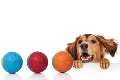 Snug balle en usage avec lance-balles facilite jeux rapides et entraînement