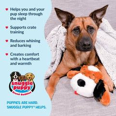 Gros plan sur la fourrure Snuggle Puppie mettant en valeur douceur et câlin