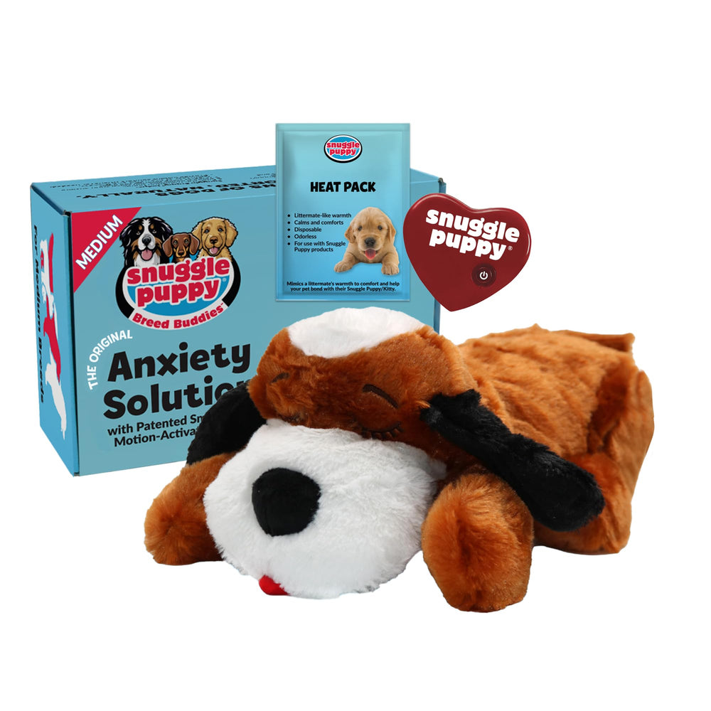 Snuggle Puppie visage Beagle brun et blanc apportant confort immédiat
