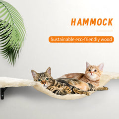 Sobly perchoir avec chat utilisé pour observation et sécurité