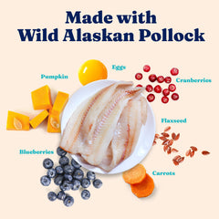 Solid Gold poisson Pollock frais illustrant source protéique naturelle et pauvre en glucides