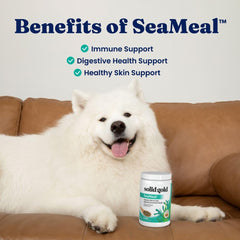 Solid Gold ajout SeaMeal au repas de chien pour peau saine