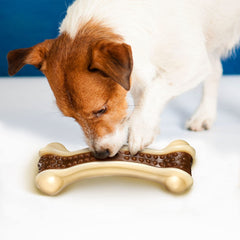 Sosation os en usage chien tenant et mâchant pour distraction