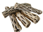 SoShrimp bois cholla face avant montrant forme naturelle et esthétique