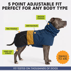 Spark Paws boucle latérale montrant mise en place rapide et sécurité