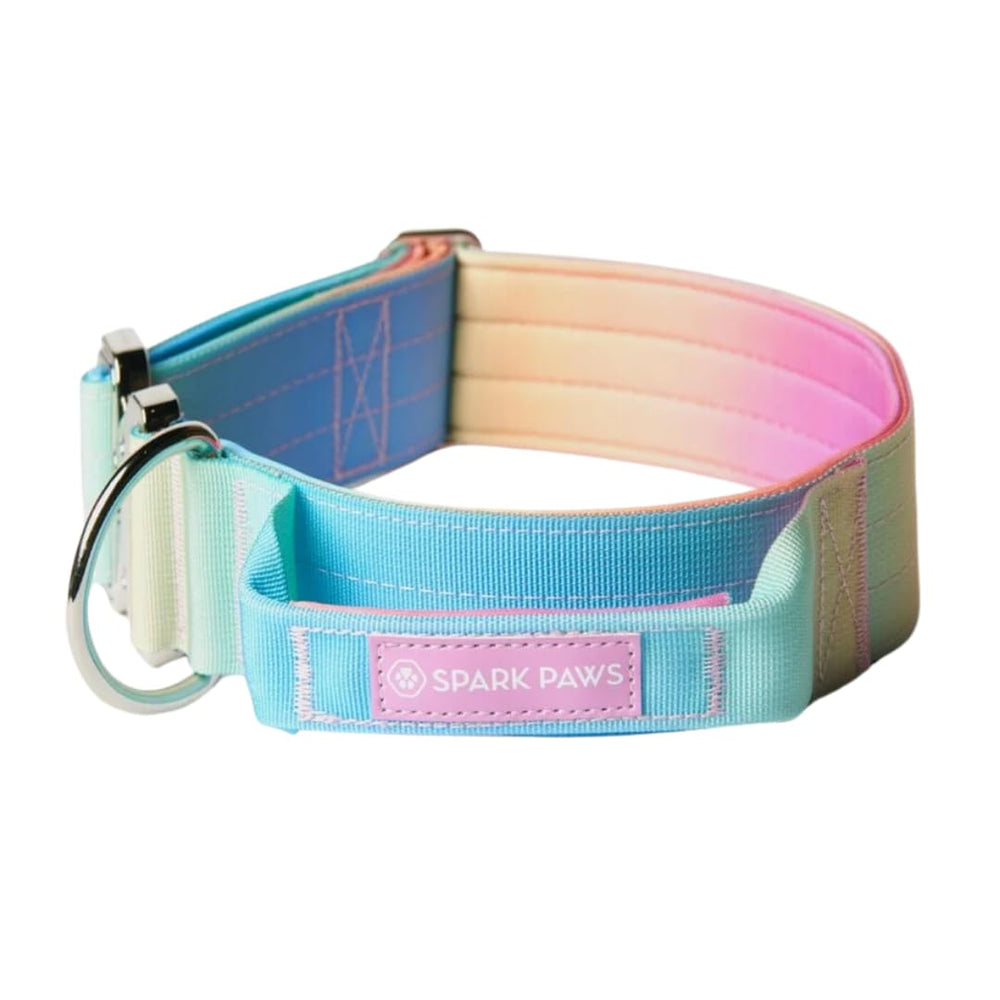 Spark Paws collier face avant robuste pour contrôle sécurisé
