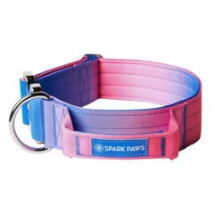 Spark Paws collier tactique face avant montrant solidité et style