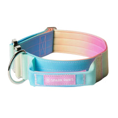 Spark Paws collier face avant robuste pour contrôle sécurisé