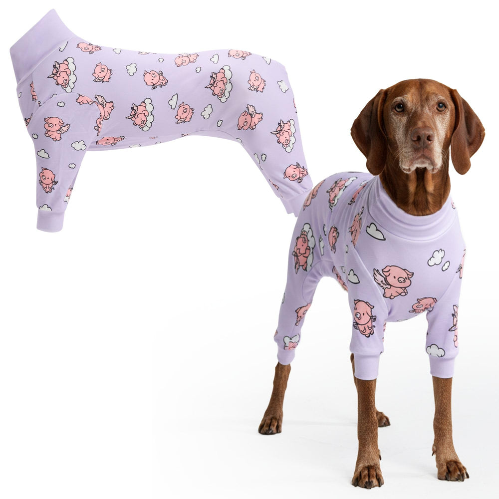 Spark Paws photo face avant montrant protection complète et confort