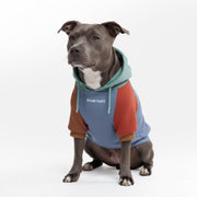 Spark Paws face avant du hoodie montrant coupe et style confortable