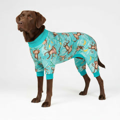 Spark Paws face avant du pyjama montrant l'ajustement confortable