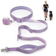 Spark Paws face avant du packaging montrant la ceinture et la laisse, visibilité claire