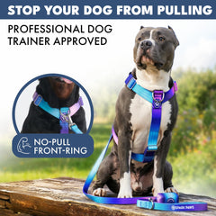 Spark Paws anneau métallique frontal solide pour attache fiable et durable