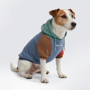 Spark Paws face avant du hoodie montrant coupe et style confortable