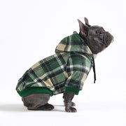 Spark Paws vue avant du hoodie montrant la coupe et confort