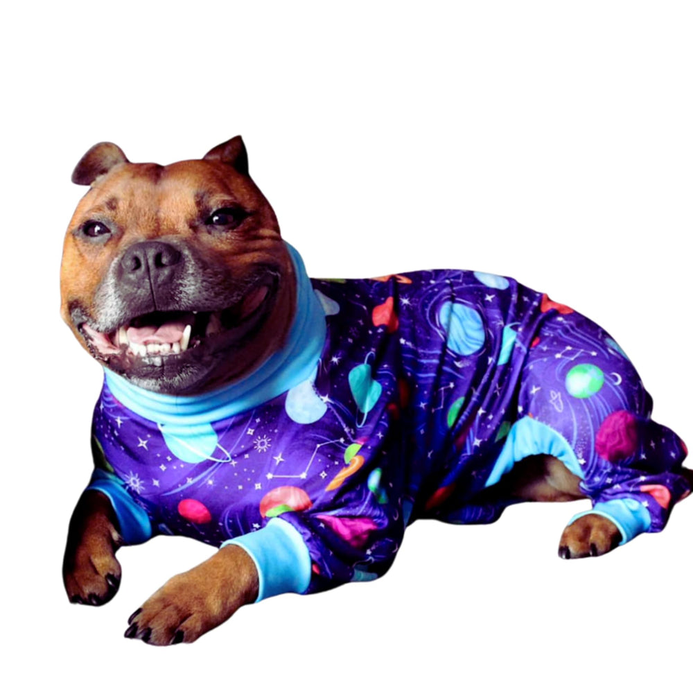 Spark Paws onesie face avant montrant coupe ajustée et maintien apaisant